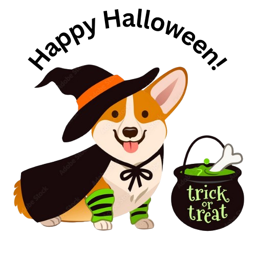 corgi dog in a witch costume